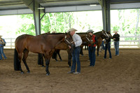 Mare Grand and Reserve