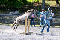 AJB_1169