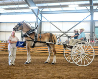 AJB_0354