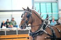 AJB_8364