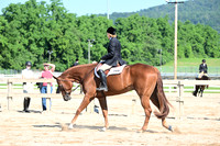 AJB_6577