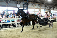 AJB_0747
