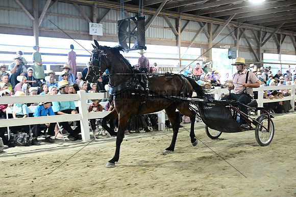 AJB_0747
