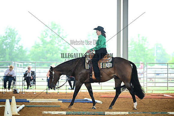 AJB_0775