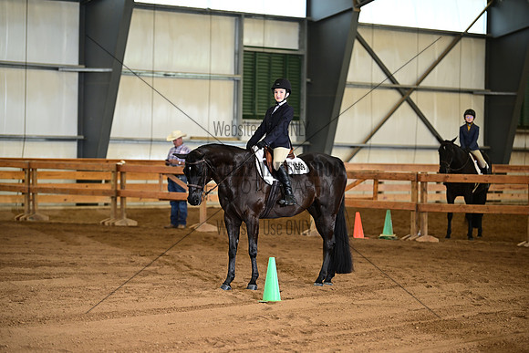 AJB_6428