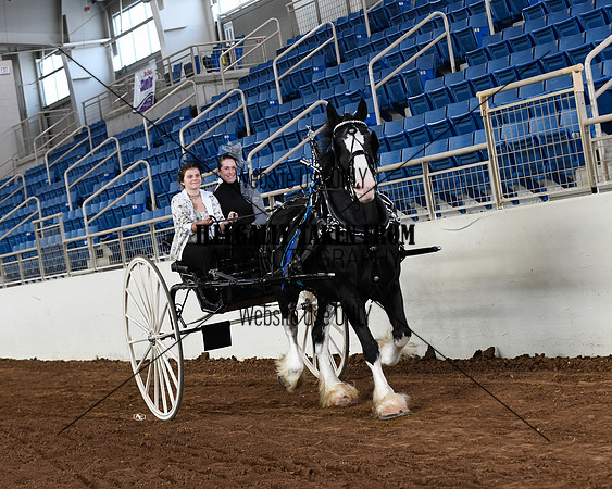 shires_6102