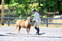 AJB_0950