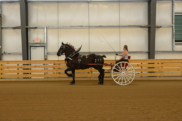 Sr. Youth Cart-3
