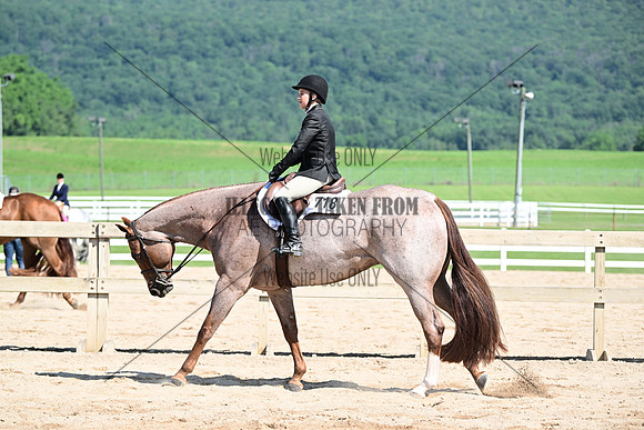 AJB_6858