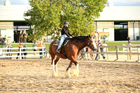 AJB_0764