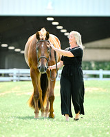 williams_7327