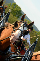 Four Horse Hitch_Amateur_youth-14