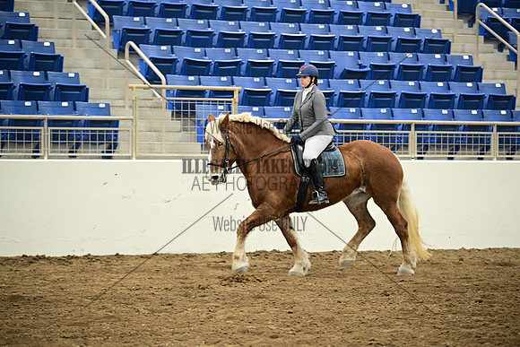 ASH_4738