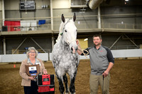 Carbaugh Horseshoeing