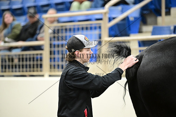 ASH_4951