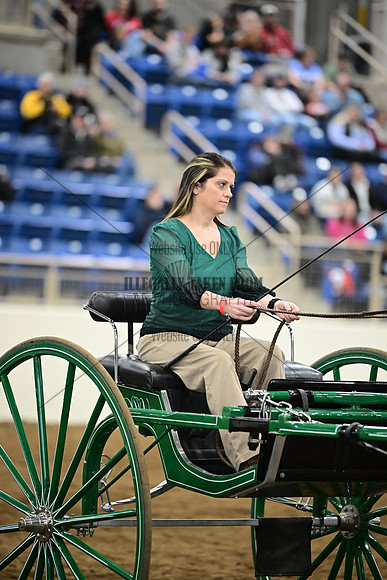 ASH_5668