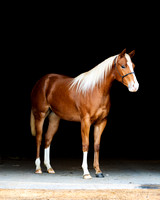 Pippi-3_8015