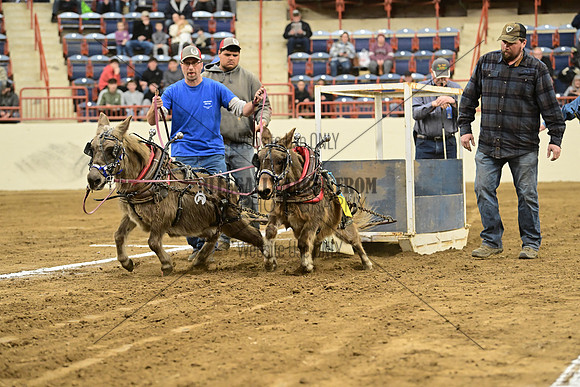 ASH_6685