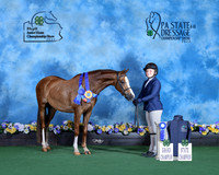 C.Sensenig_grandchamp_statechamp_Lancaster_9604- released