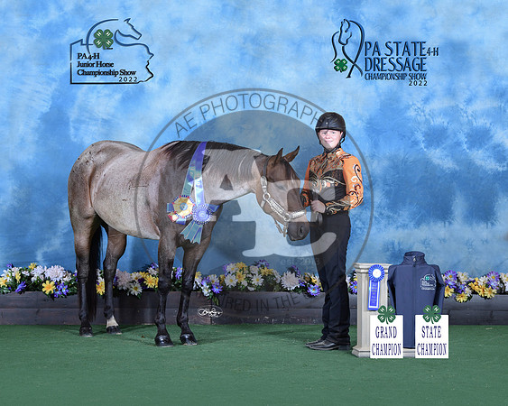 I.Ostroski_grandchamp_statechamp_Potter_9662-released