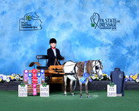 E.Cannada_statechamp_mastershowman_Erie_9767-pkb