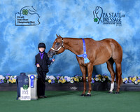 B.Lewis_statechamp_Centre_9633-released