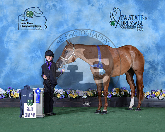 B.Lewis_statechamp_Centre_9633-released