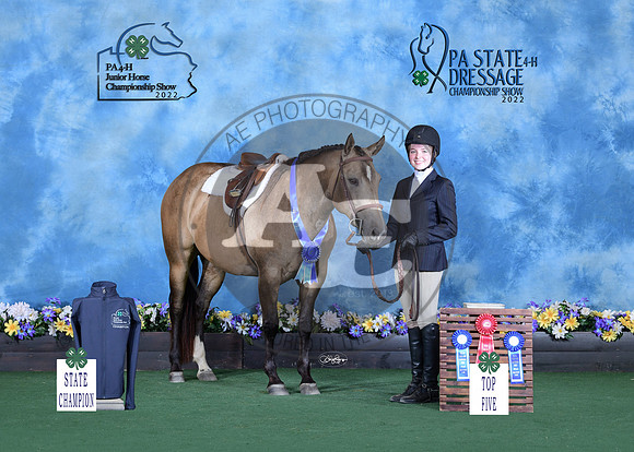 S.Harvey_statechamp_Lycoming_9914-5x7