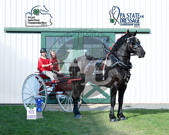 S.sharp_statechamp_Northumberland_9744-4-H