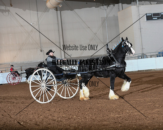 Shires_3560