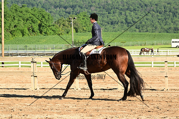 AJB_9974