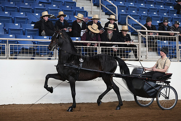IMG_4474