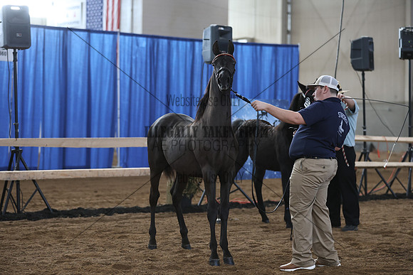 IMG_4665