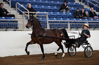 IMG_9003
