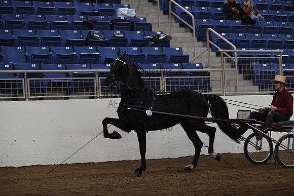 IMG_9857