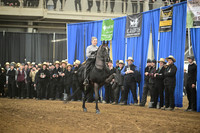 ASH_9046
