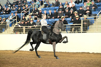 ASH_9050