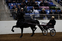IMG_0284