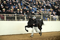 ASH_9312