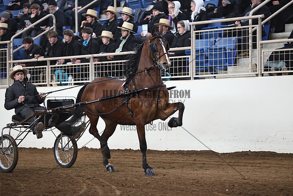 IMG_1212