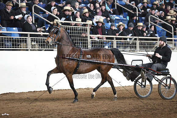 IMG_1494