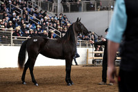 IMG_1663