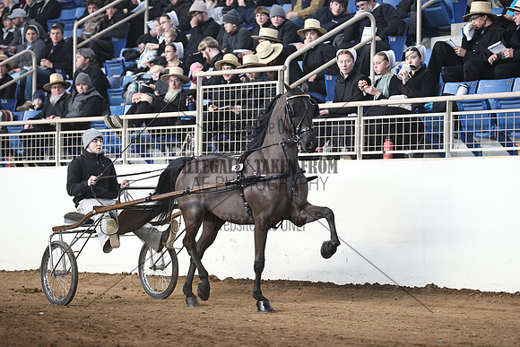 IMG_1752
