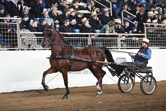 IMG_2001