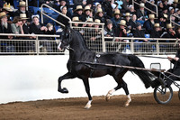 IMG_2100