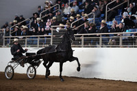 IMG_2446