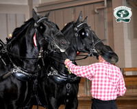 Fedor_0165