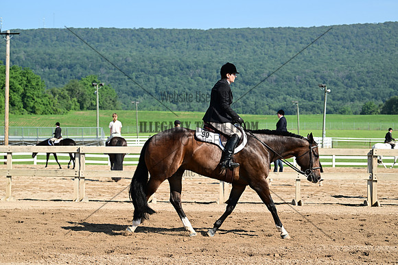 AJB_8936