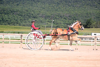 AJB_4778