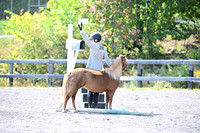 AJB_0948